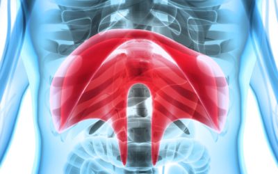 Diafragma. El gran desconocido