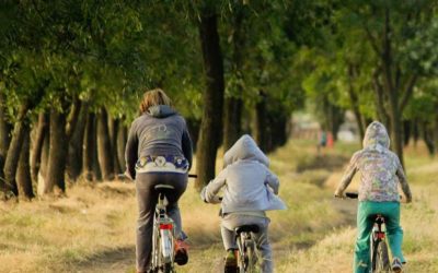 La actividad física como medicina